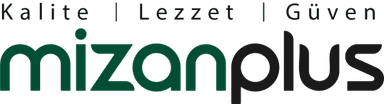 Mizanplus