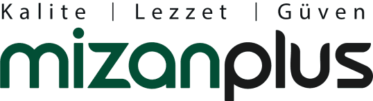 Mizanplus